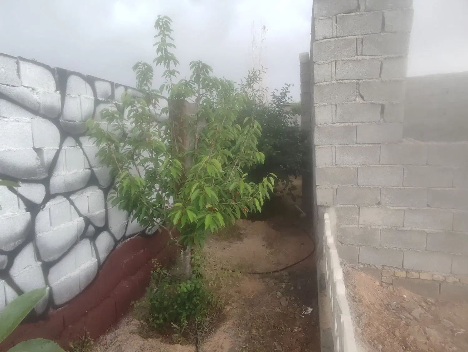 تصویر 13