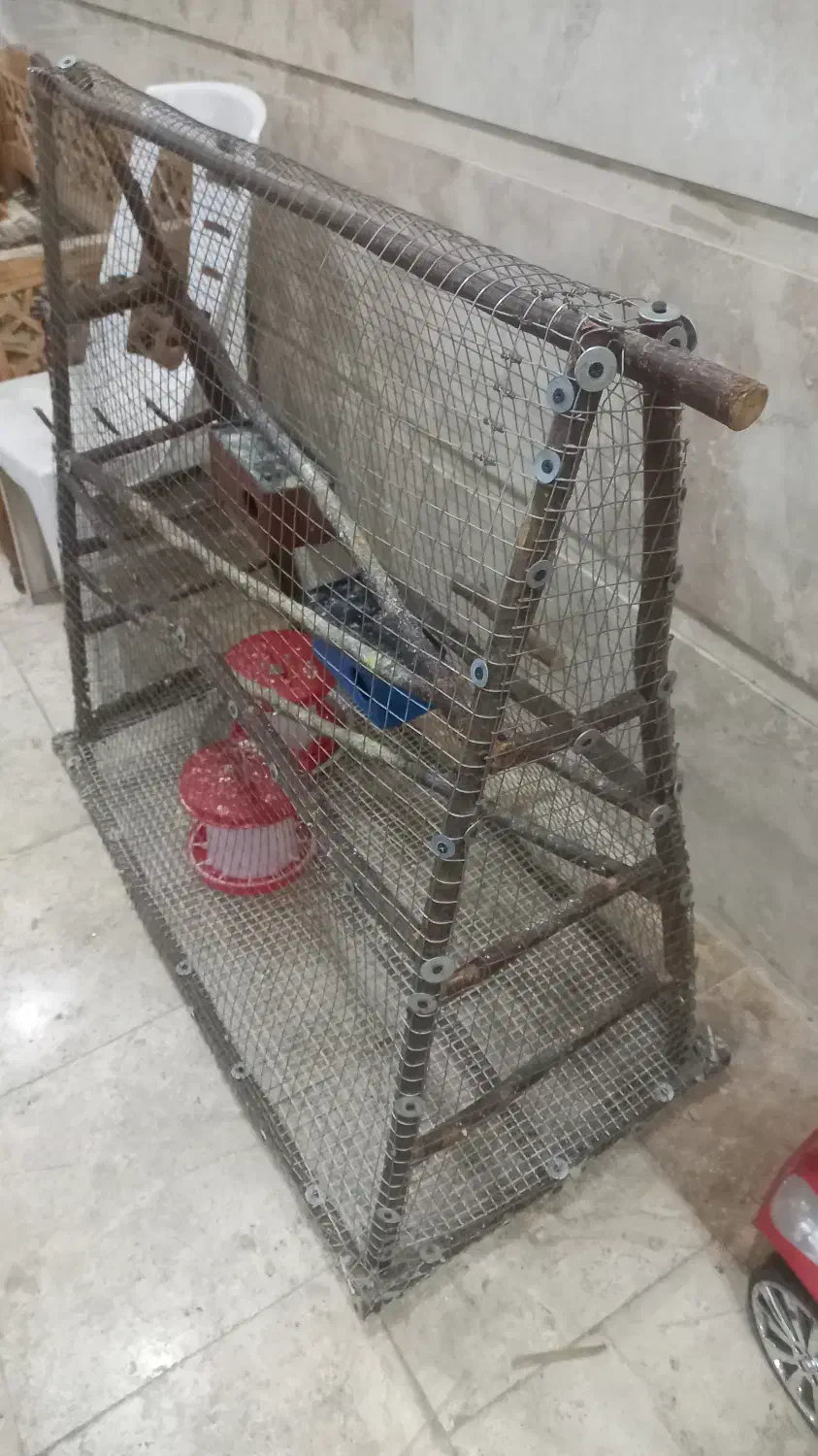 قفس بزرگ کردن جوجه مرغ و اردک و بوقلمون و غاز|لوازم جانبی حیوانات|قم, بکایی|دیوار