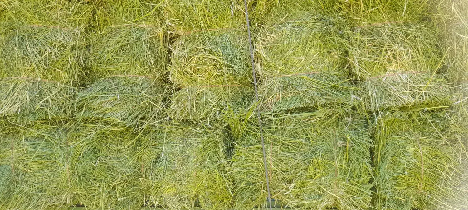 چاپر،یونجه کاه‌گندم‌لوبیا، چاپر بسته بندی|لوازم جانبی حیوانات|اصفهان, دارک|دیوار