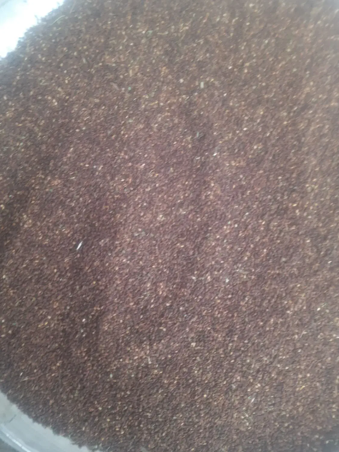 کنجدتمیزپاکشده|خوردنی و آشامیدنی|باغ ملک, |دیوار