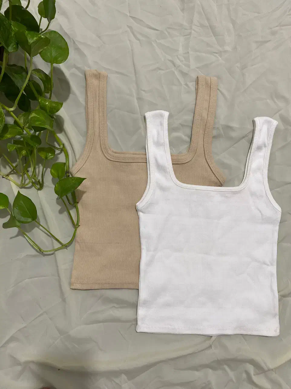 کراپ|لباس|گرگان, |دیوار