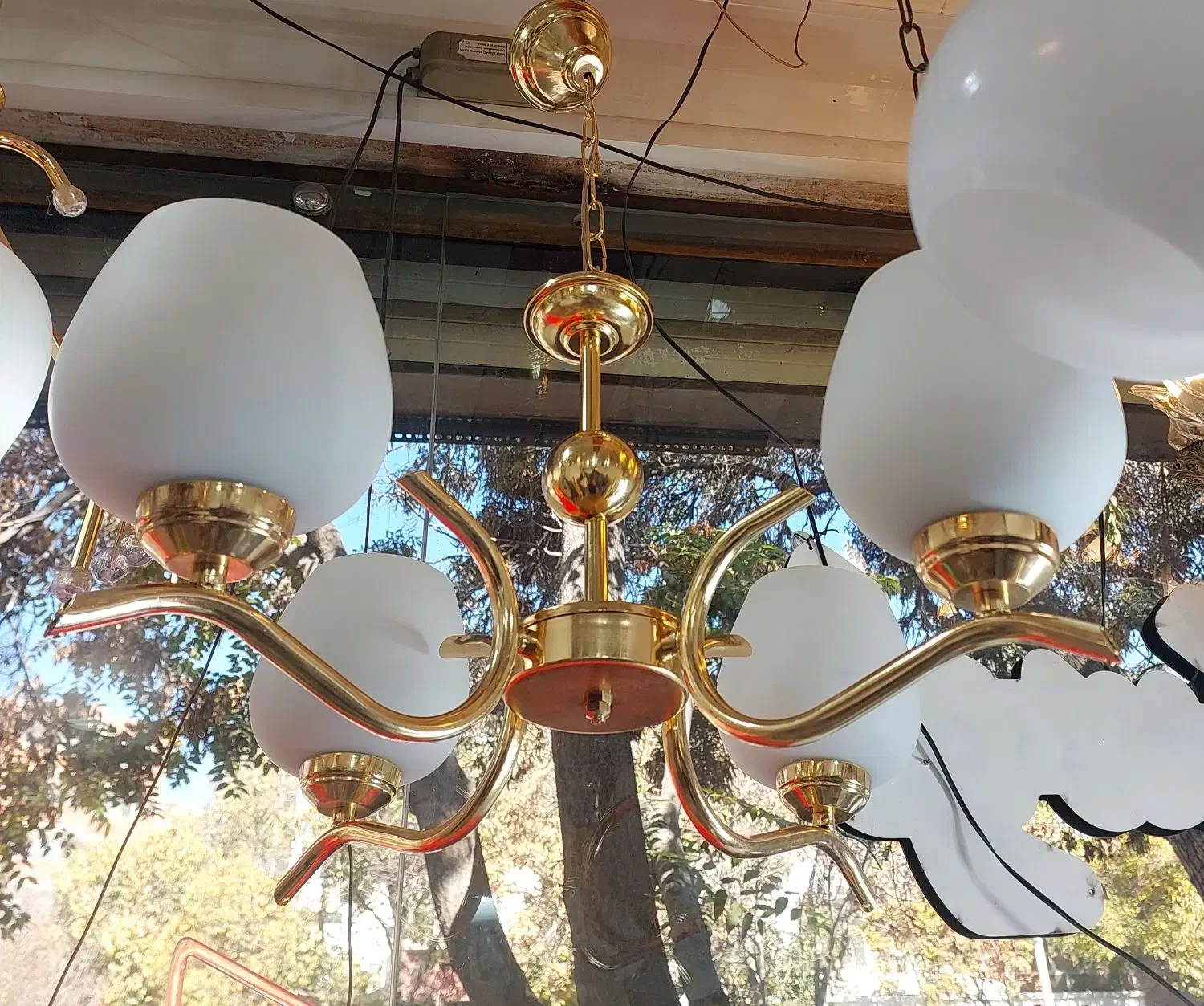 لوستر براک|لوستر و چراغ آویز|تبریز, |دیوار