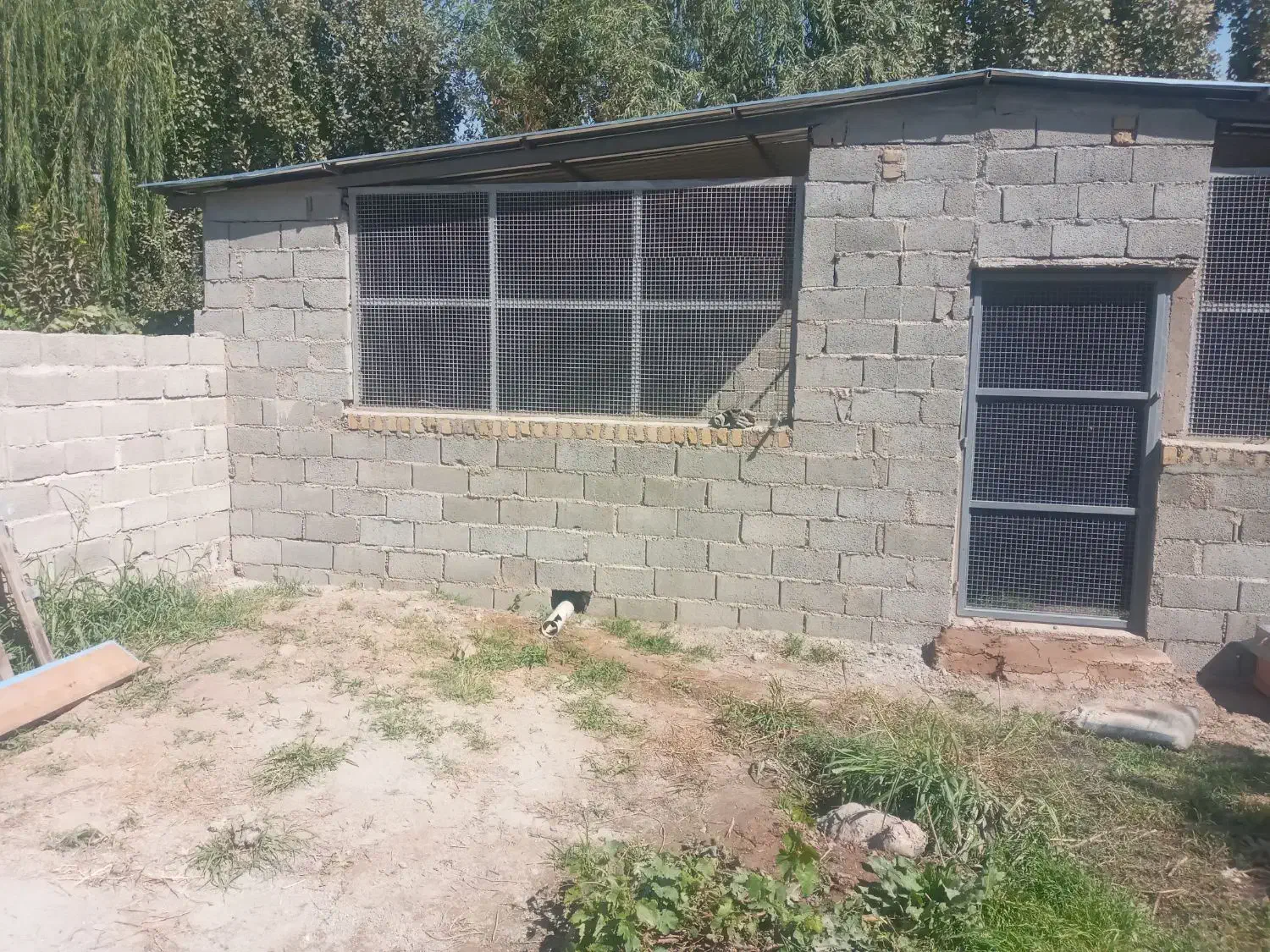 دامداری آماده مشارکت|مشارکت در ساخت املاک|هشتگرد, هشتگرد قدیم|دیوار