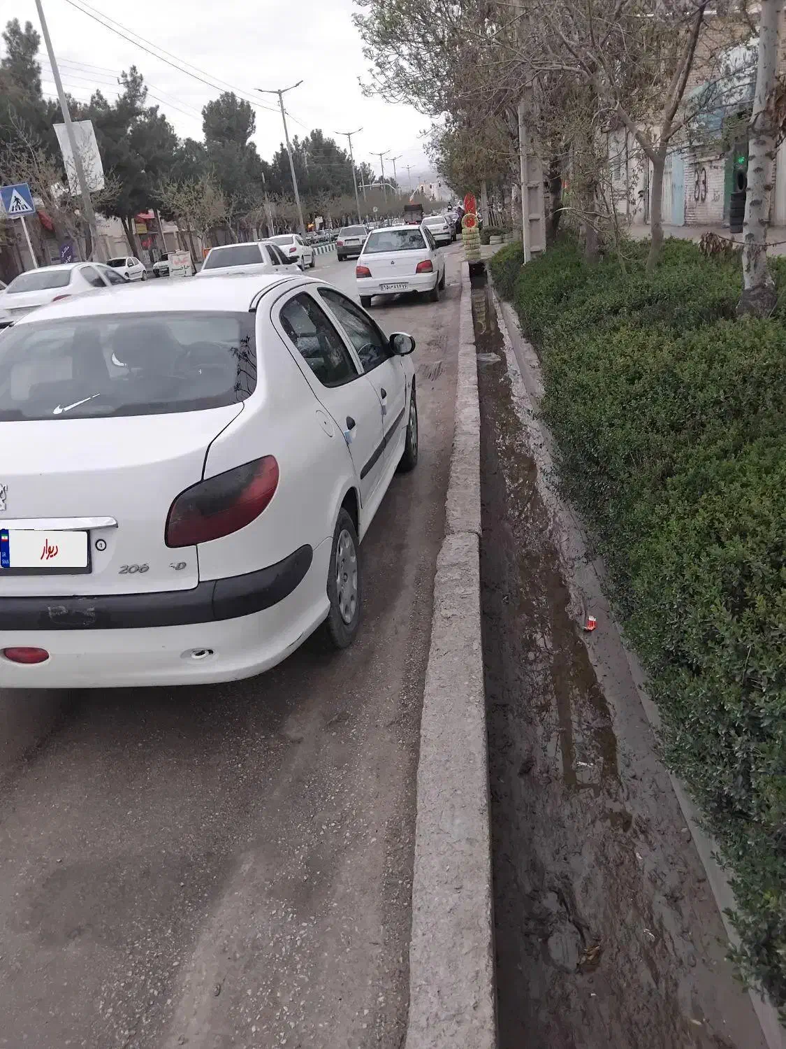 206v20|خودرو سواری و وانت|مشهد, پرکندآباد|دیوار