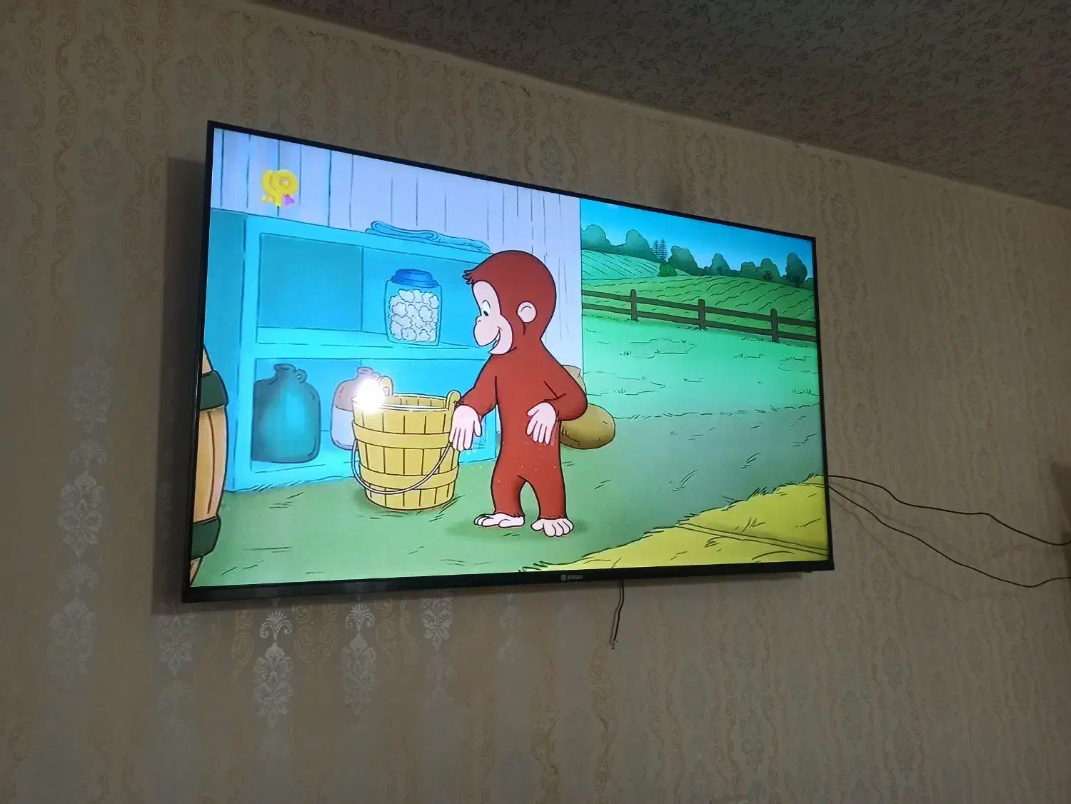 امپلیفایر اسنواا|گیتار، بیس، امپلیفایر|نهاوند, |دیوار