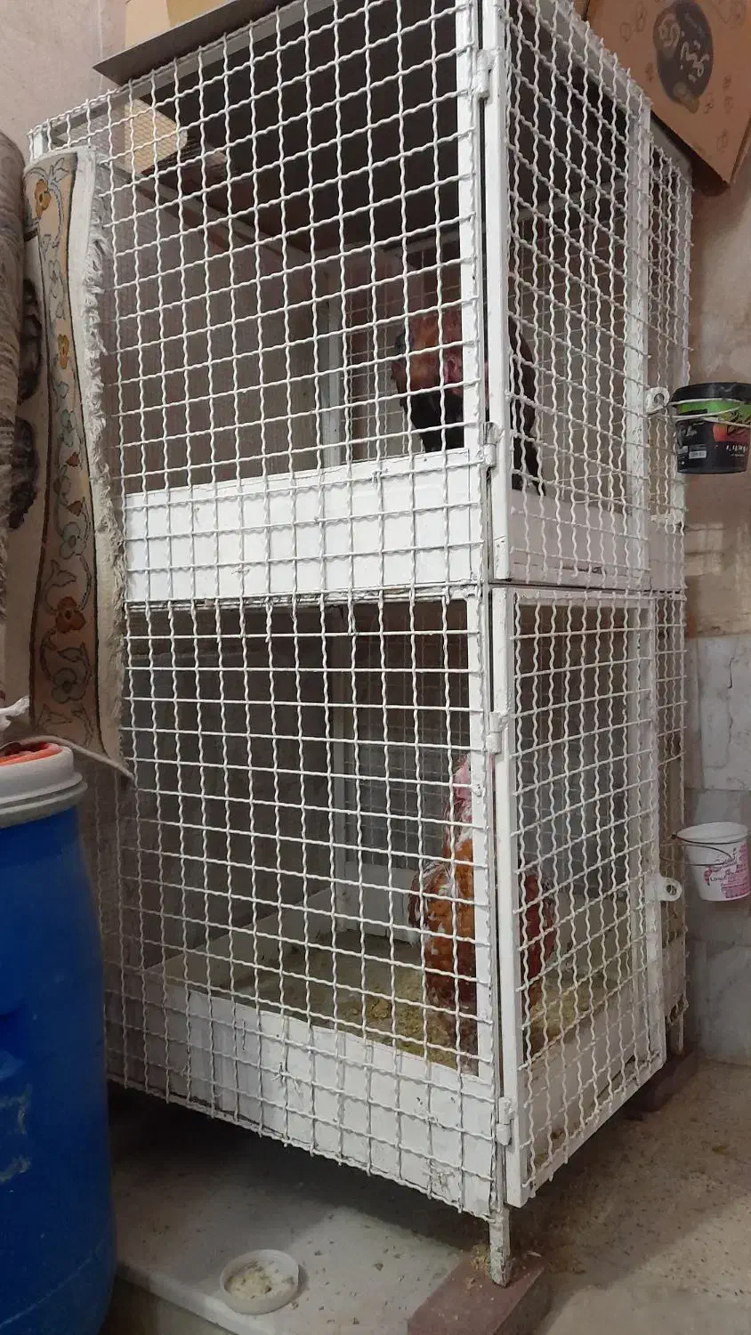 قفس مرغ و خروس ۲ طبقه  ۳/۵۵۰/۰۰۰|لوازم جانبی حیوانات|ورامین, شهرک ولیعصر|دیوار