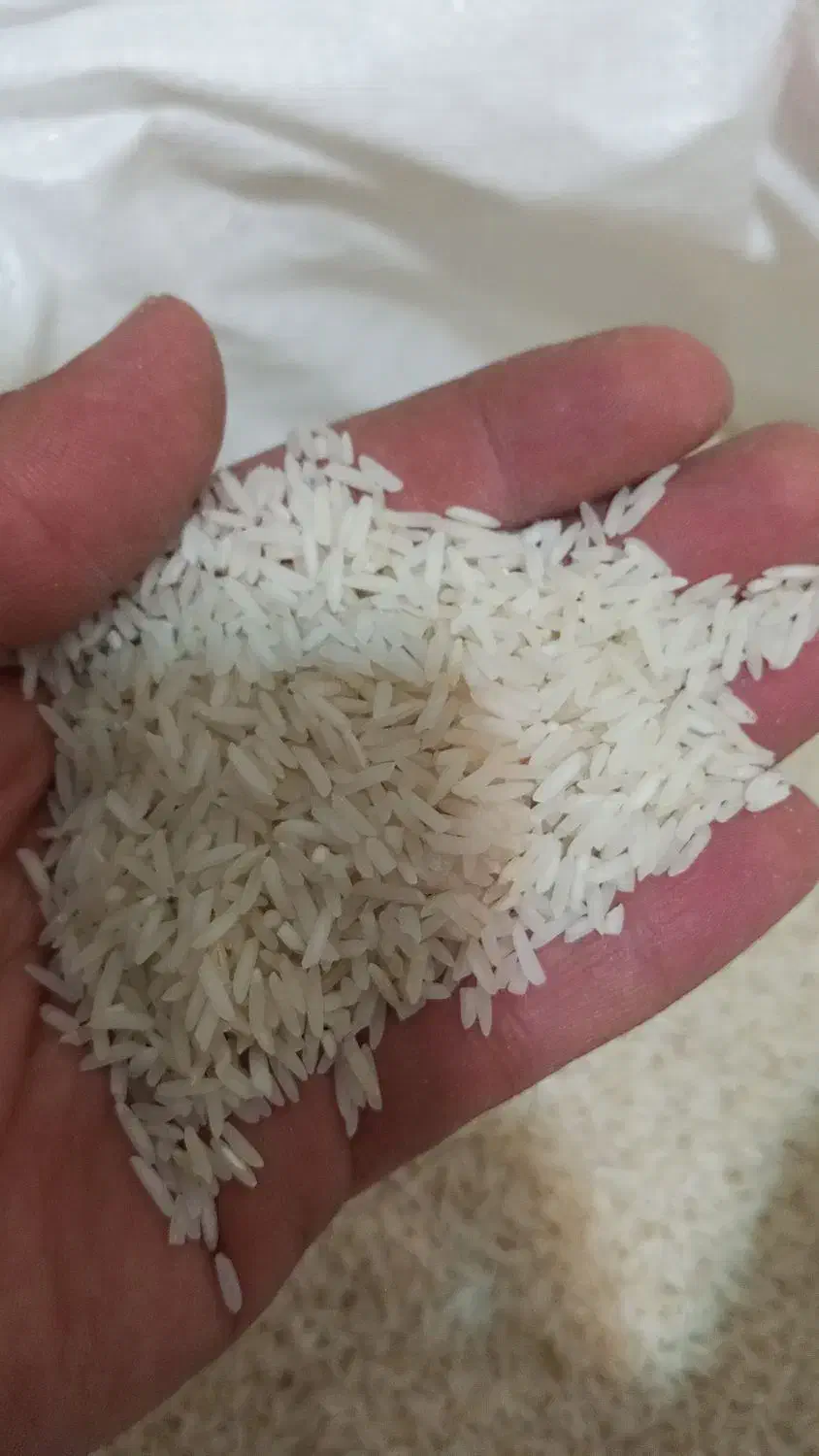 برنج فجر شمال|خوردنی و آشامیدنی|پاکدشت, شهرک انقلاب|دیوار