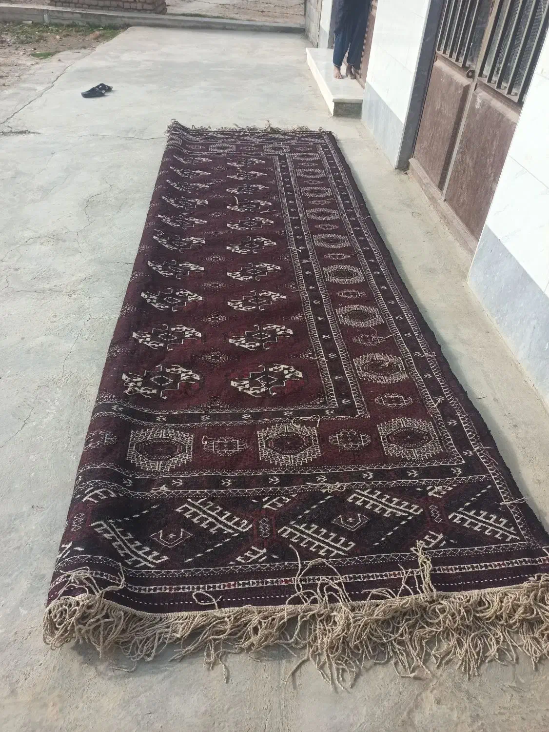 قالی ترکمنی(عرض۲/۶۰متر طول۴متر)|فرش|آق قلا, |دیوار