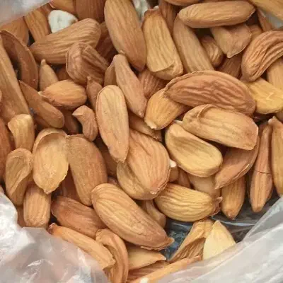 بادام مامایی|عمده‌فروشی|داران, |دیوار