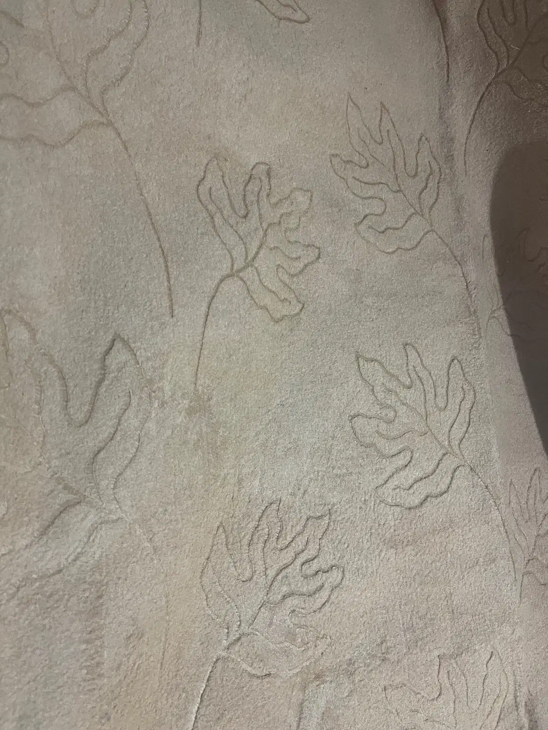 موکت کرم رنگ|موکت|سنندج, |دیوار