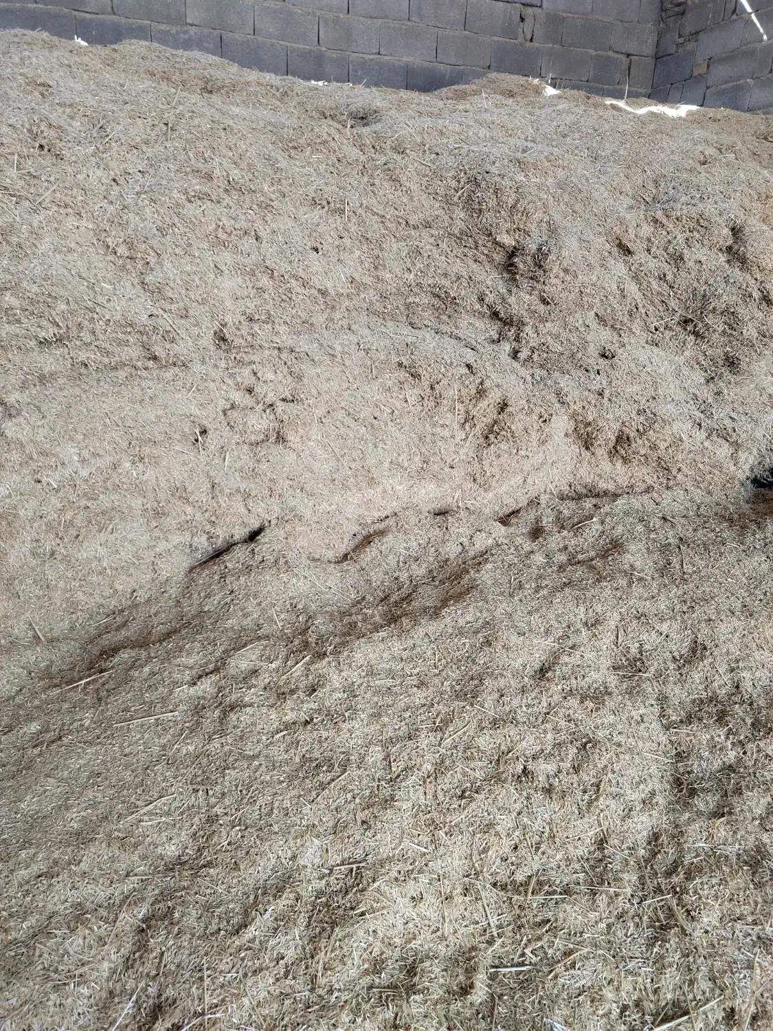 کاه سفید (گندم)|حیوانات مزرعه|طسوج, |دیوار