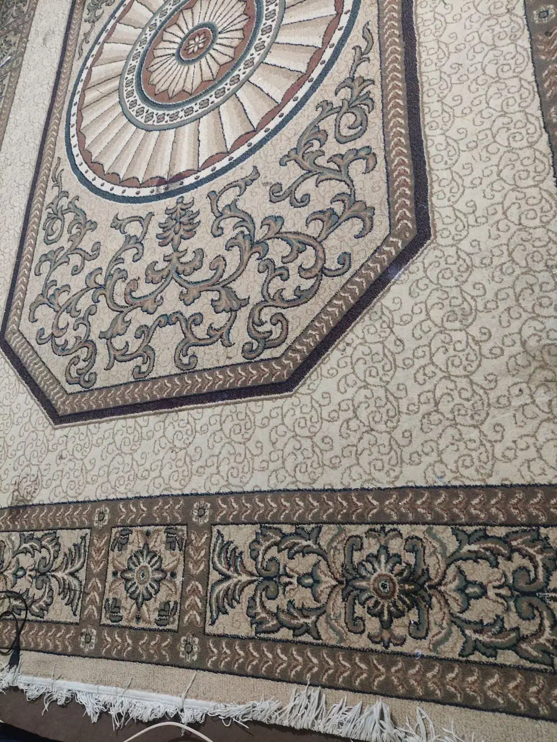 قالی خوش رنگ جدید خوش قیمت بخاطر کمبود جا|فرش|صدرا-فارس, فاز ۱|دیوار