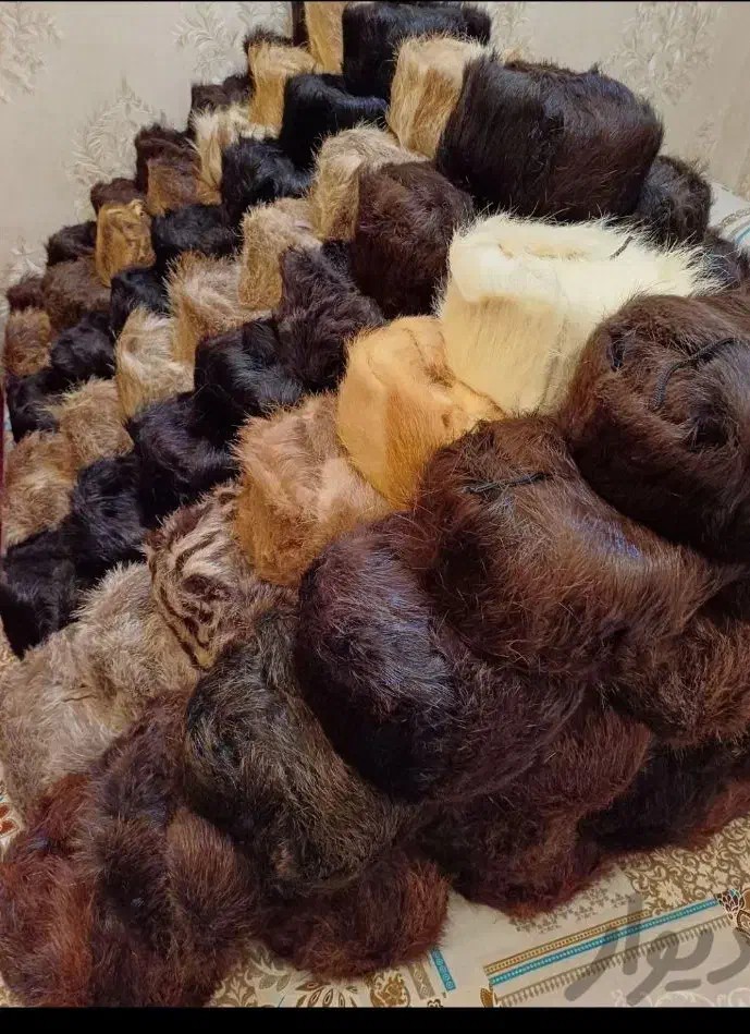 کلاه روسی|لباس|شیروان (خراسان), |دیوار