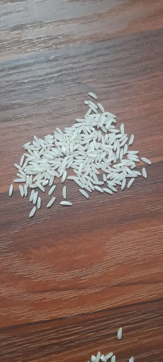 برنج طارم هاشمی|خوردنی و آشامیدنی|ساری, |دیوار