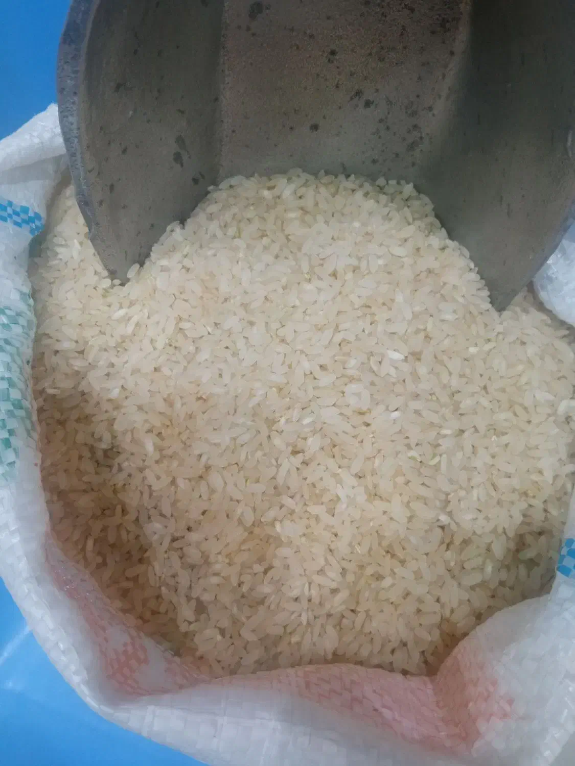 فروش برنج کامفیروزی به شرط پخت|خوردنی و آشامیدنی|شیراز, قدوسی شرقی|دیوار