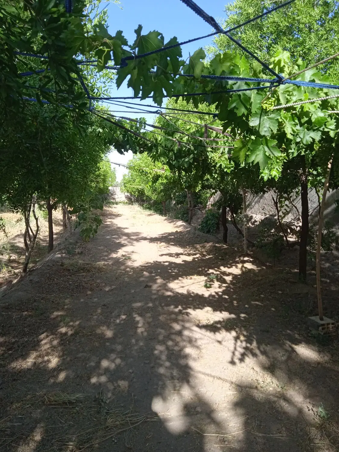 تصویر 6