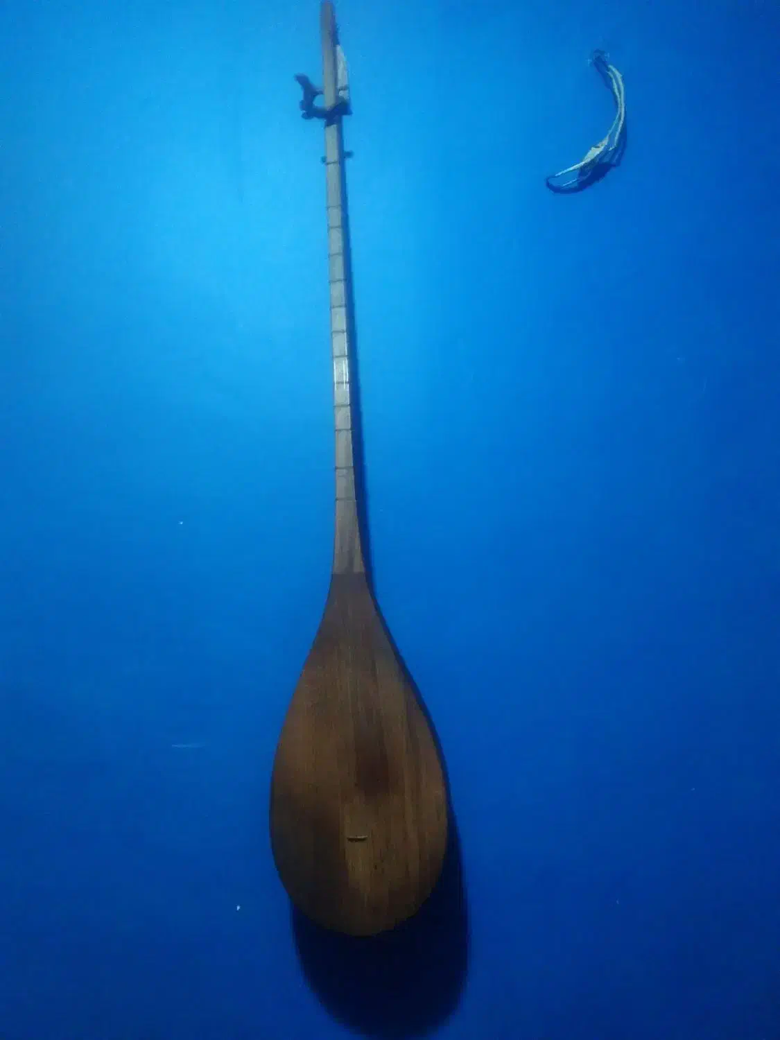 دوتار خراسان|سازهای سنتی|تهران, فلسطین (میدان انقلاب)|دیوار