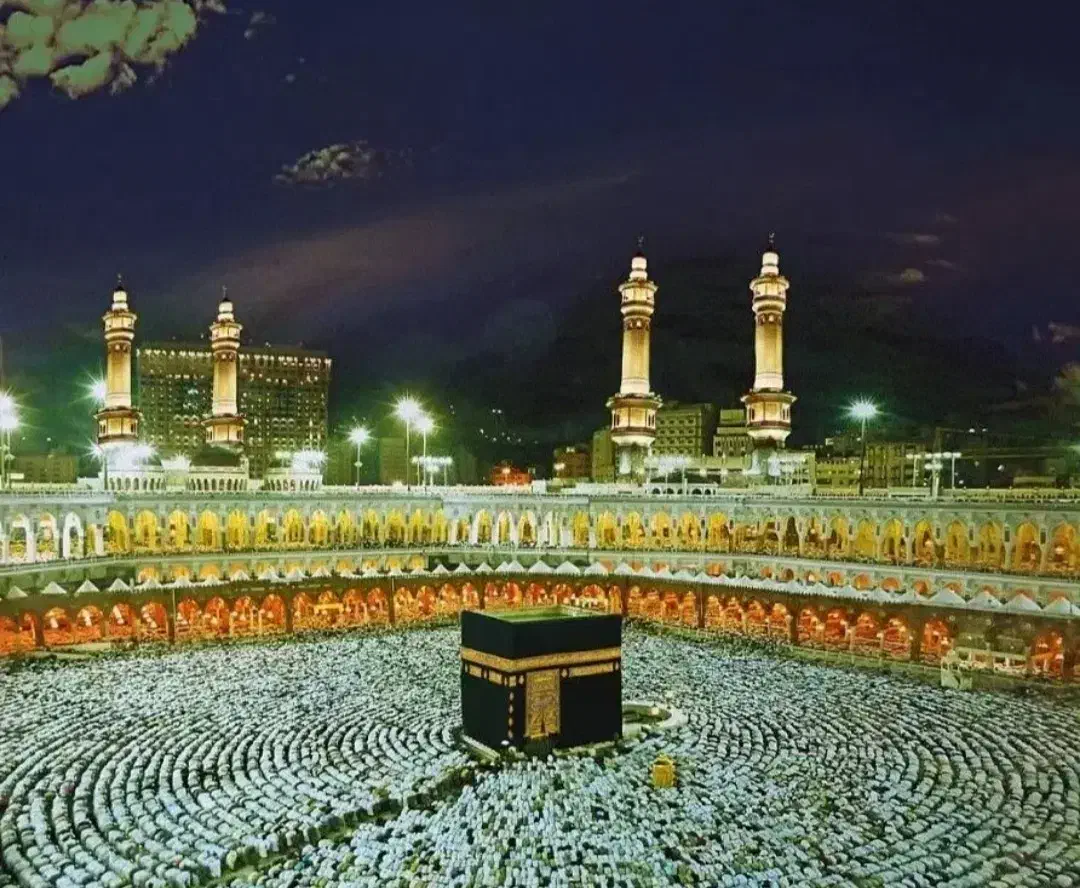 فیش حج تمتع بهمن ۸۳|تور و چارتر|شیراز, باغ تخت|دیوار