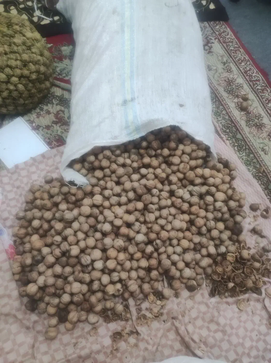 گردو|خوردنی و آشامیدنی|بردسیر, |دیوار