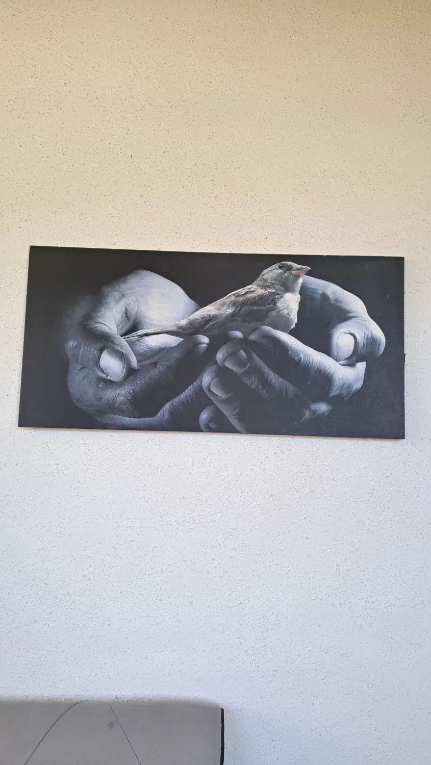 تابلو طرح رئال|تابلو، نقاشی، عکس|صومعه‌سرا, |دیوار