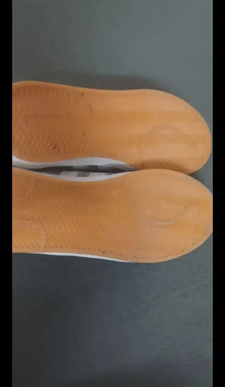 کفش|کیف، کفش، کمربند|کاشان, فاز ۱ ناجی آباد|دیوار