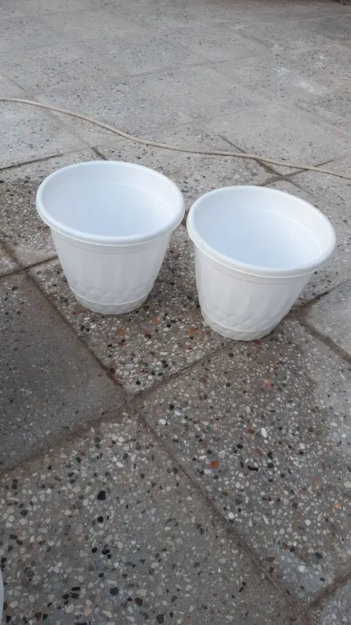 گلدان پلاستیکی محکم وسالم وتمیز در حد نو|گل و گیاه طبیعی|ری, شهرک نظامی|دیوار