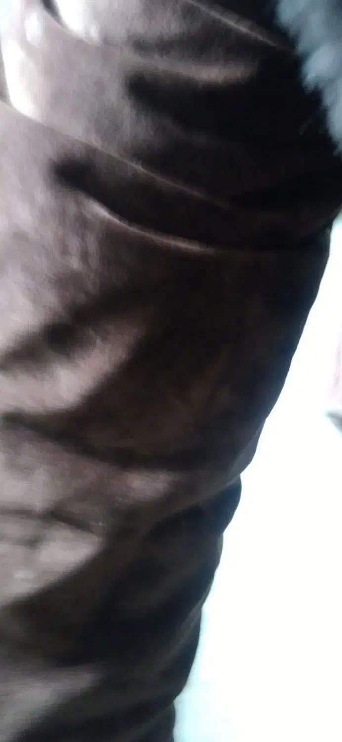 پالتو|لباس|مشهد, کشف|دیوار