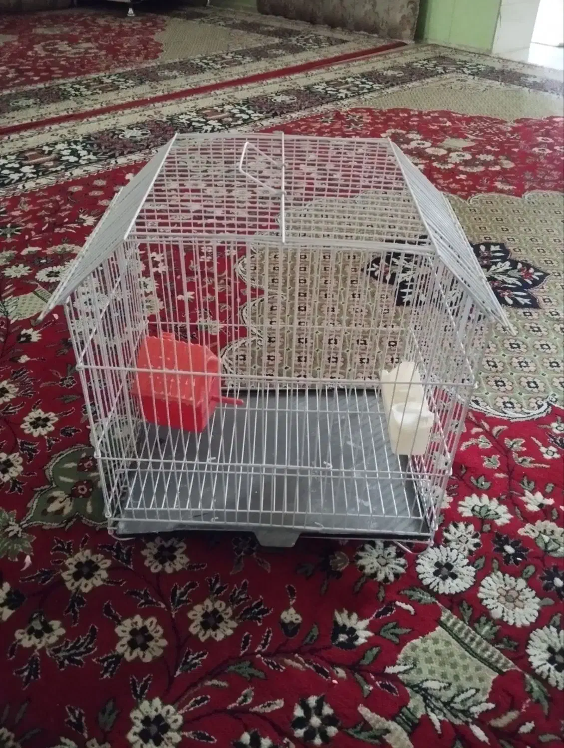 قفس پرنده|لوازم جانبی حیوانات|ایلام, |دیوار