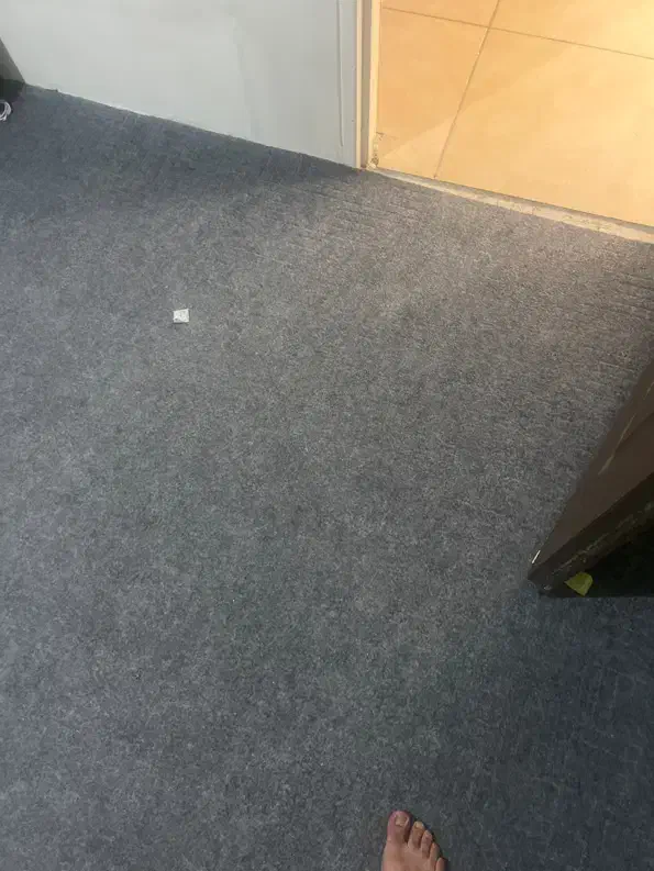 دو عدد موکت اتاق دو حد نو|موکت|شیراز, کوی وحدت|دیوار