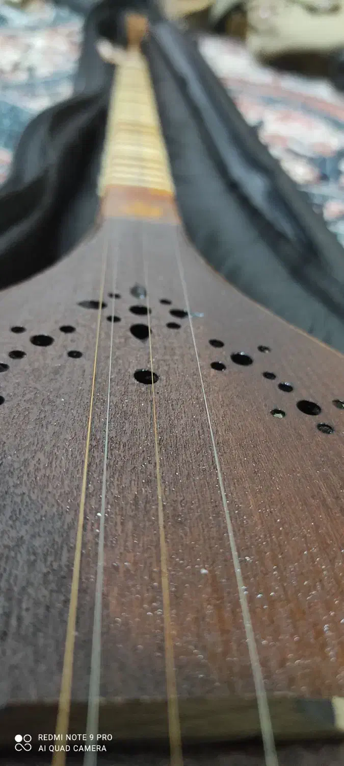 سه تار دلنواز|سازهای سنتی|صدرا-فارس, فاز ۲|دیوار