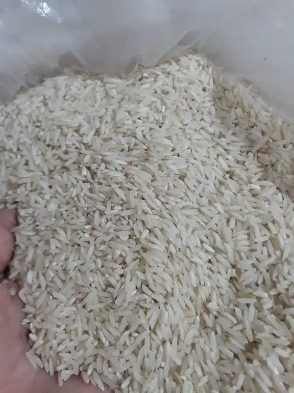 برنج هاشمی|خوردنی و آشامیدنی|سیروان, |دیوار