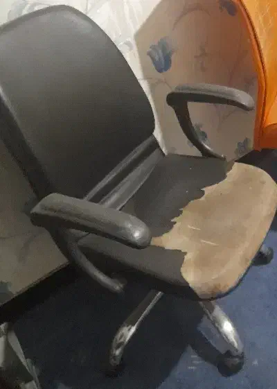 صندلی|صندلی و نیمکت|بندر ماهشهر, |دیوار