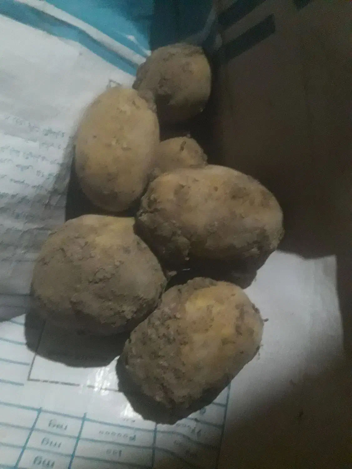 سیب اگریا|خوردنی و آشامیدنی|داران, |دیوار