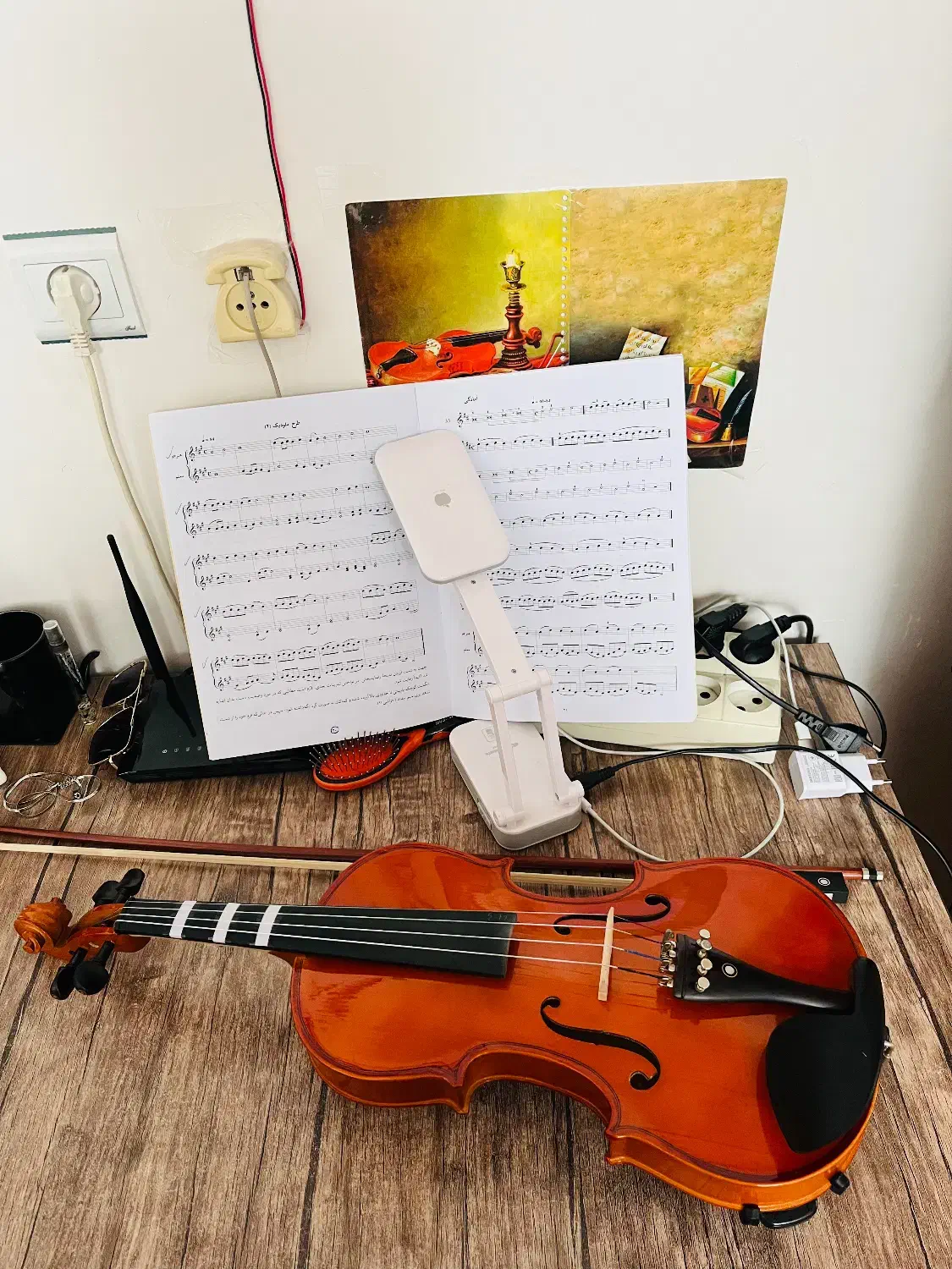 ویالون سلاریوس ۴/۴ همراه با کیس و آرشه هشت بر|ویولن|ابهر, |دیوار