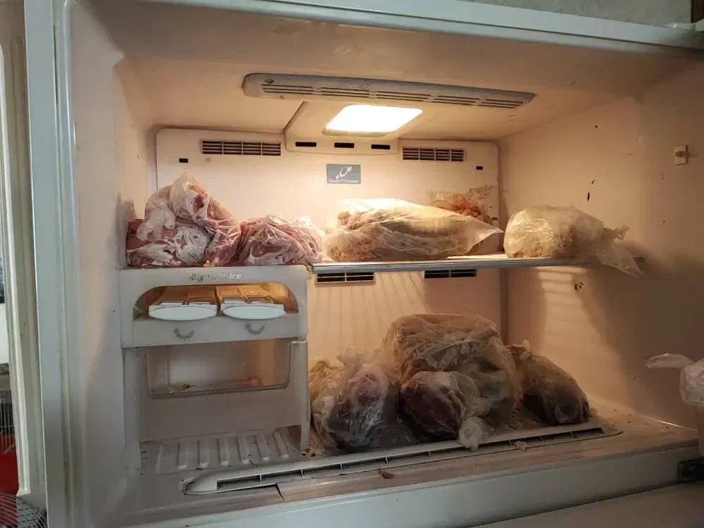 مارک هیتاچی|یخچال و فریزر|تهران, سازمان برنامه شمالی|دیوار