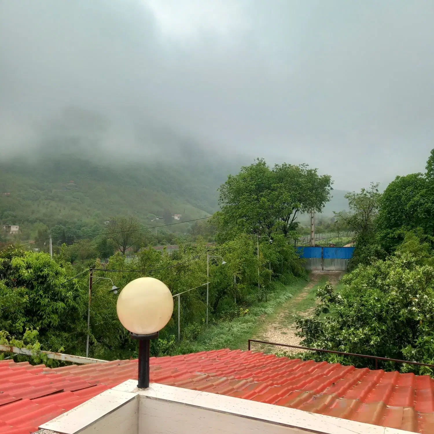 ویلا جنگلی با چشم انداز زیبا و بکر جنگل ویو ابدی|اجارهٔ کوتاه‌مدت ویلا و باغ|بهشهر, |دیوار