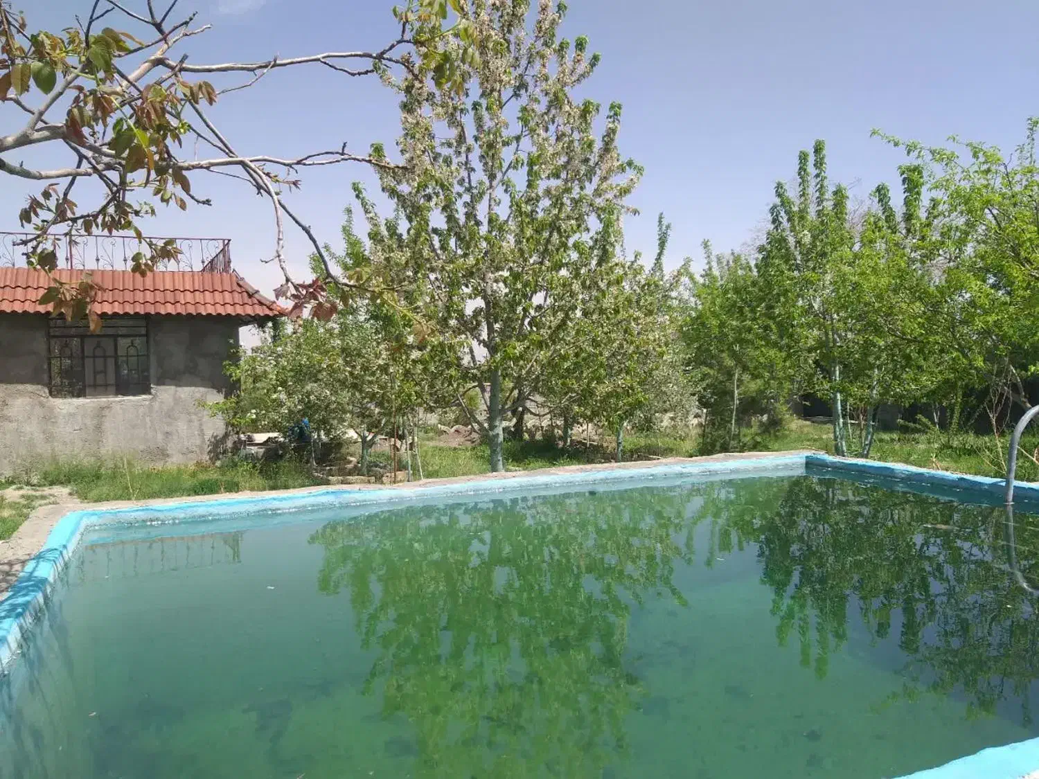 باغ ویلا فروشی و معاوضه|فروش زمین و ملک کلنگی|گلمکان, |دیوار