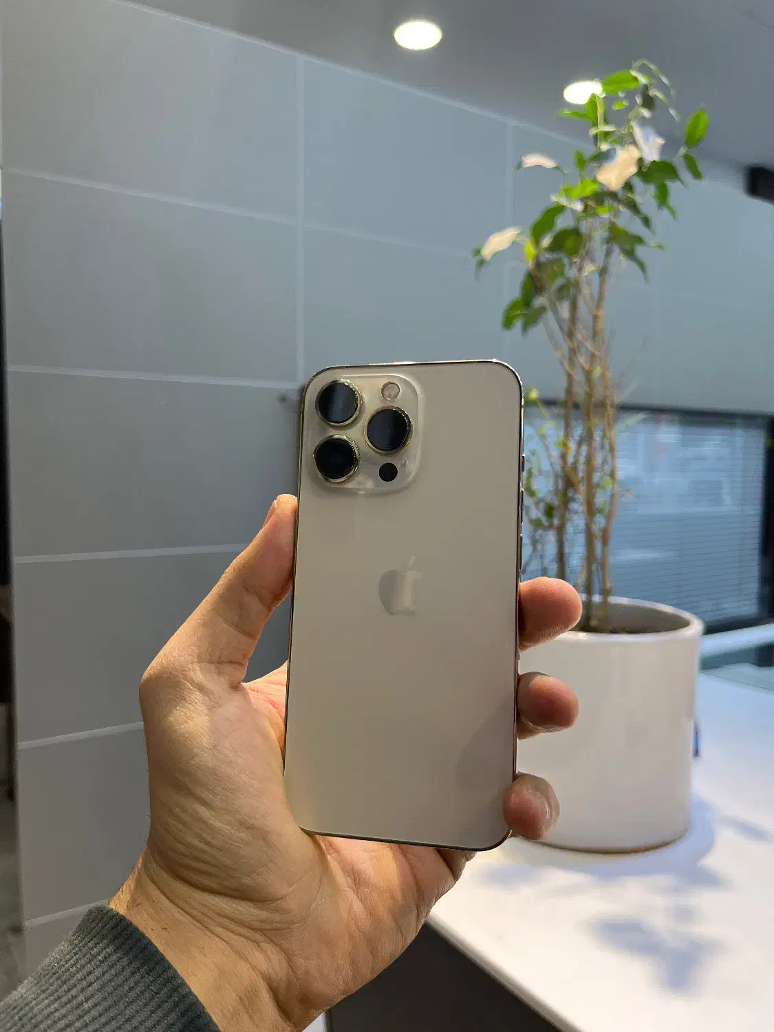 Iphone 13pro 1ترابایت|موبایل|تهران, شیخ هادی|دیوار