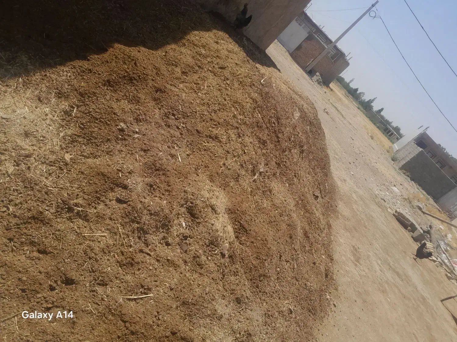 کود گوسفندی پشگل|لوازم جانبی حیوانات|نورآباد, |دیوار