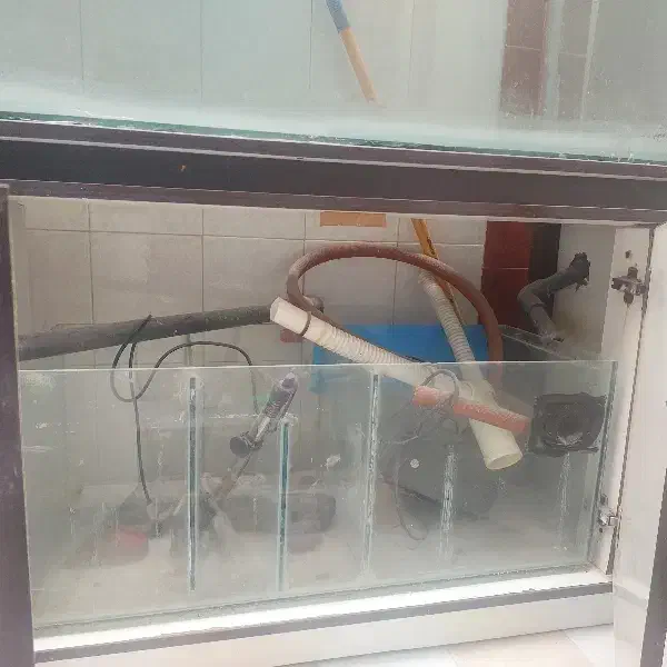 آکواریوم بزرگ ماهی مخصوص فروشگاه مرغ و ماهی زنده|ماهی|خرم‌آباد, |دیوار