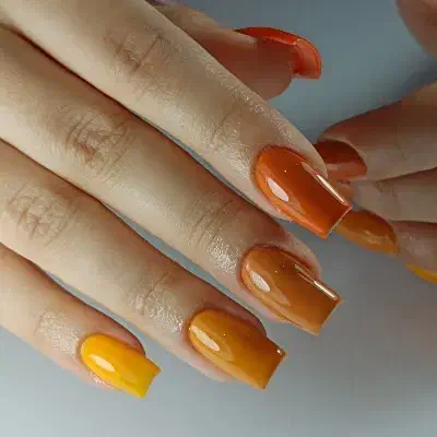 آموزش صفرتاصدناخن|خدمات آموزشی|هشتگرد, شهرک ولیعصر (مصلی)|دیوار