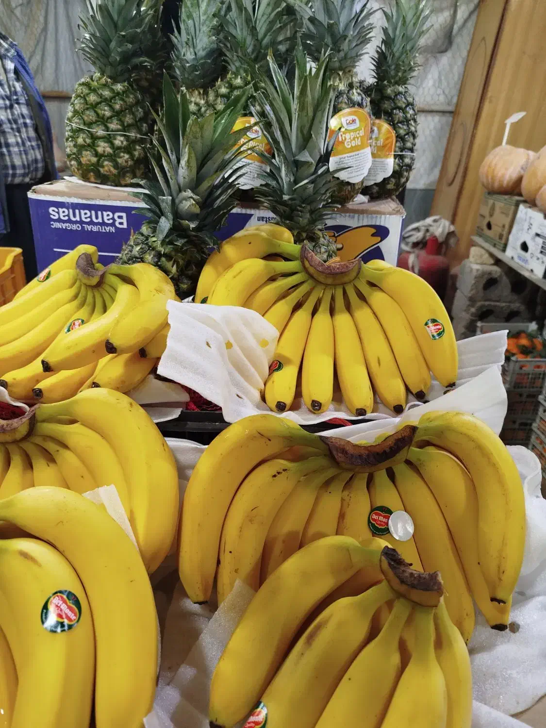 نیازمند فروشنده برای مغازه میوه فروشی|استخدام بازاریابی و فروش|نجفآباد, شریعتی|دیوار