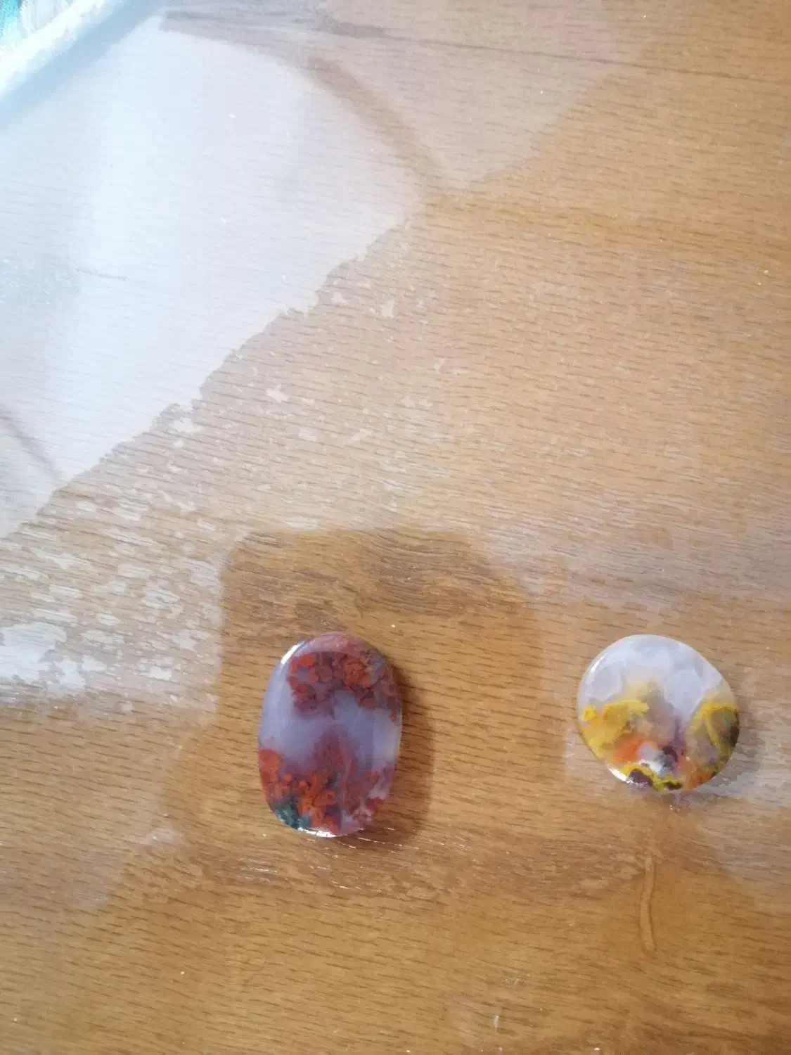 شجر|بدلیجات|یزد, |دیوار