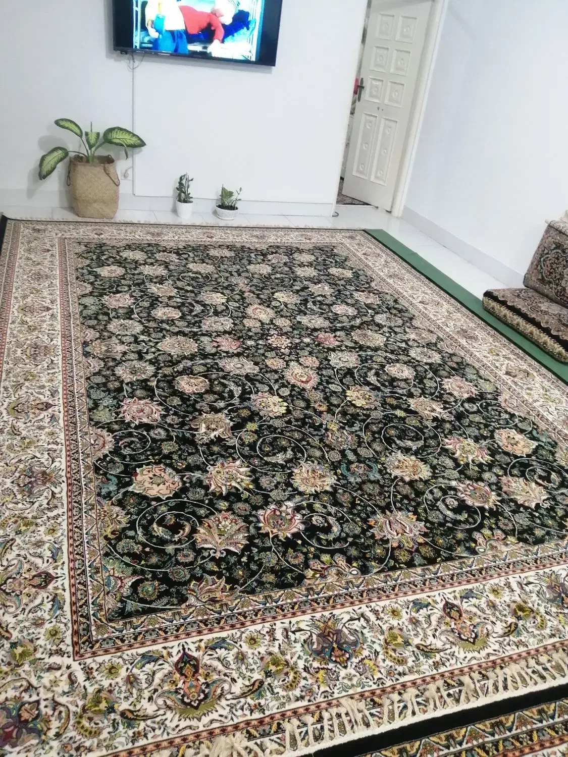 فرش کاملا نو|فرش|سنندج, |دیوار