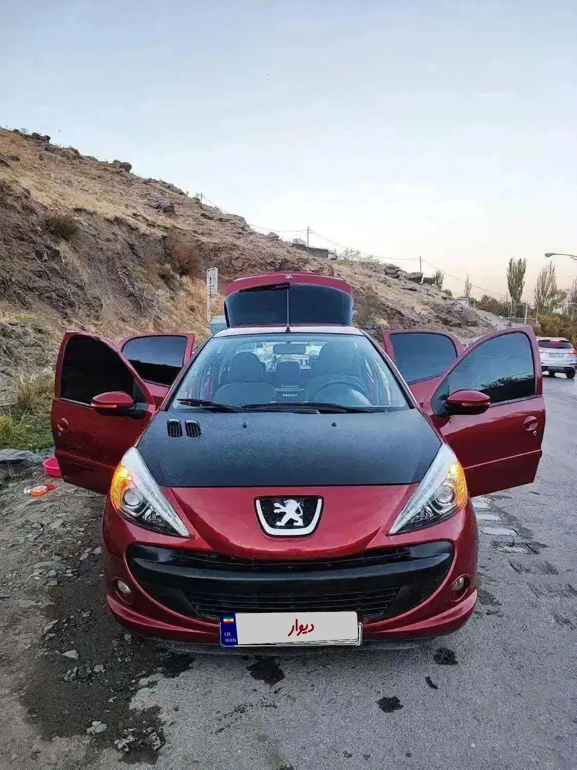 207 آلبالویی|خودرو سواری و وانت|همدان, |دیوار