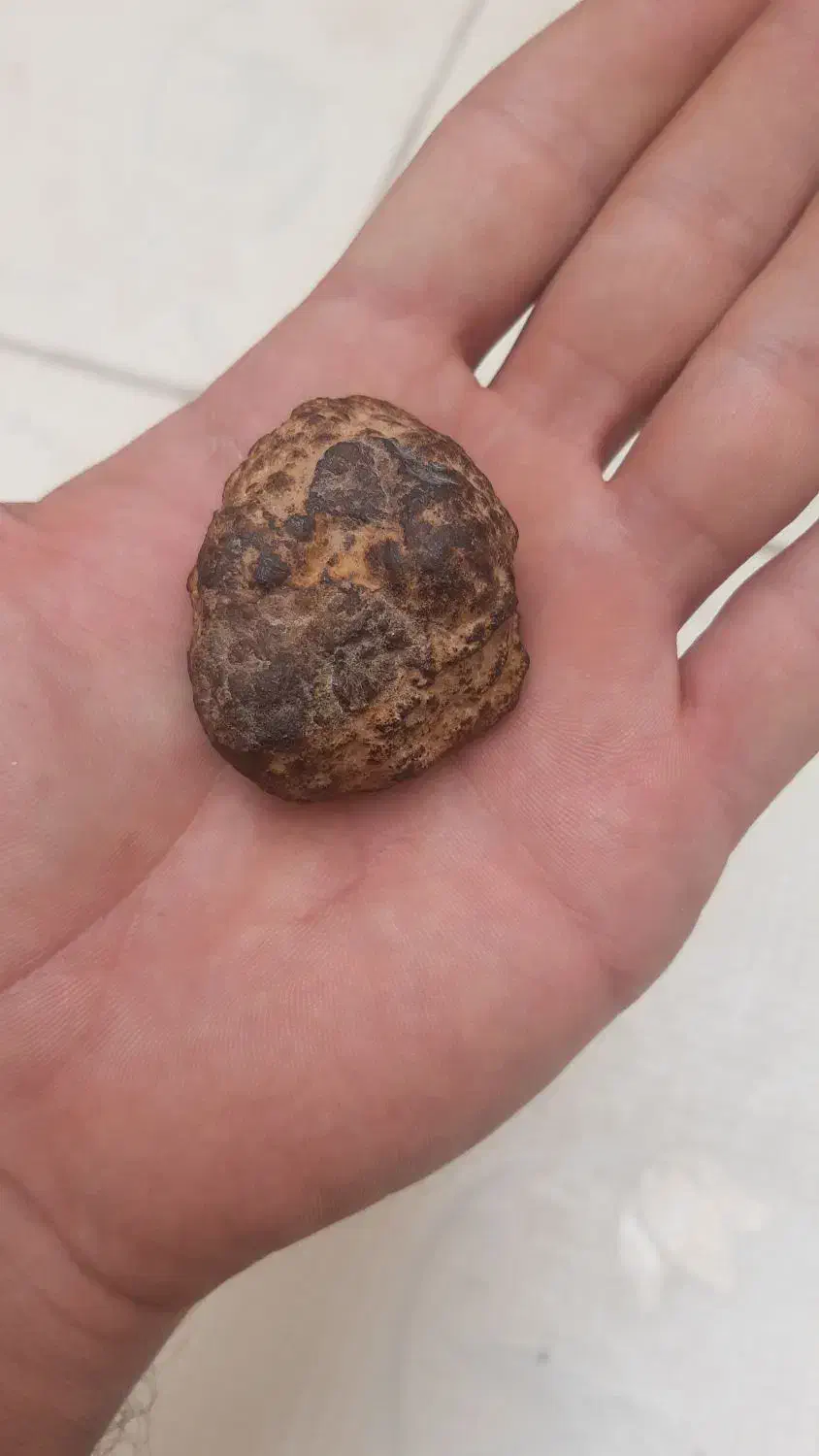 شهاب سنگ|کلکسیون اشیاء عتیقه|میمند, |دیوار