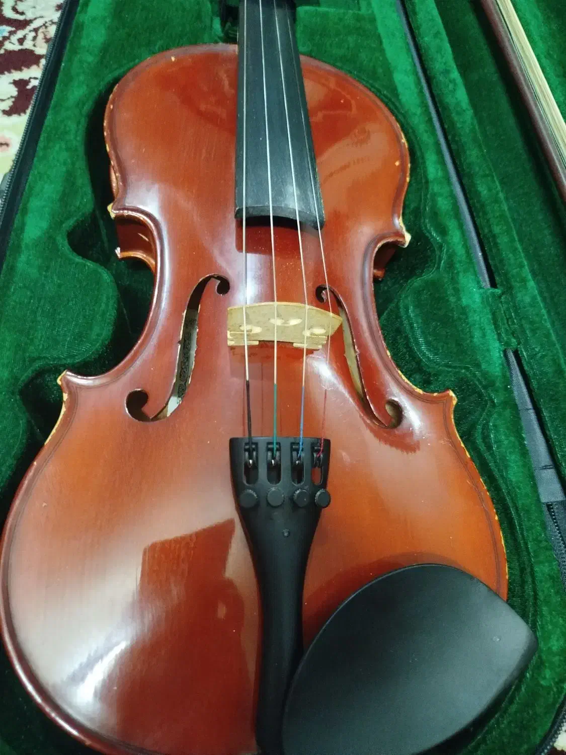 ویولن|ویولن|شیراز, کوشک میدان|دیوار