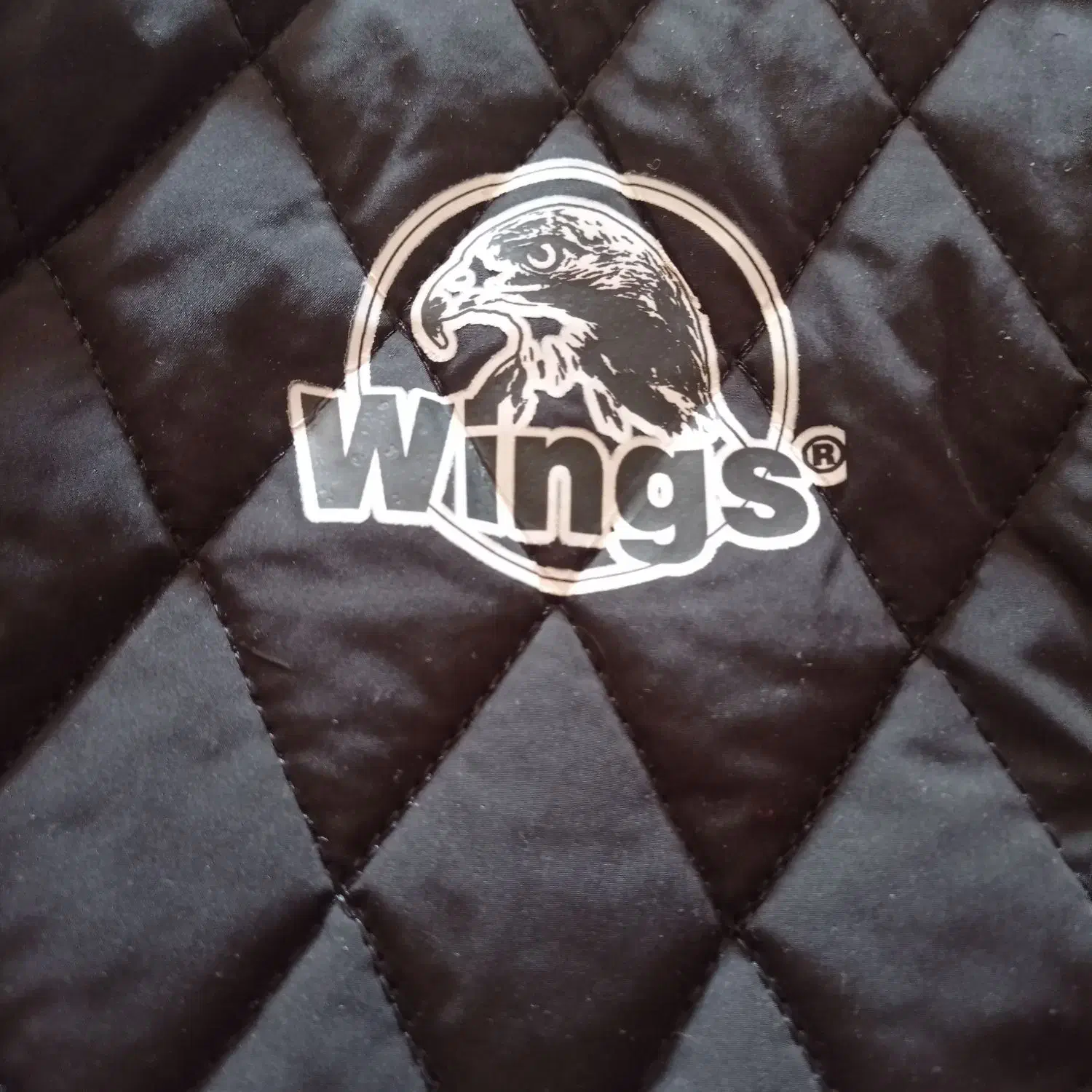 تعدادی پالتو مانتو زنانه ومردانه نوو درحدخیلی نو|لباس|تبریز, |دیوار