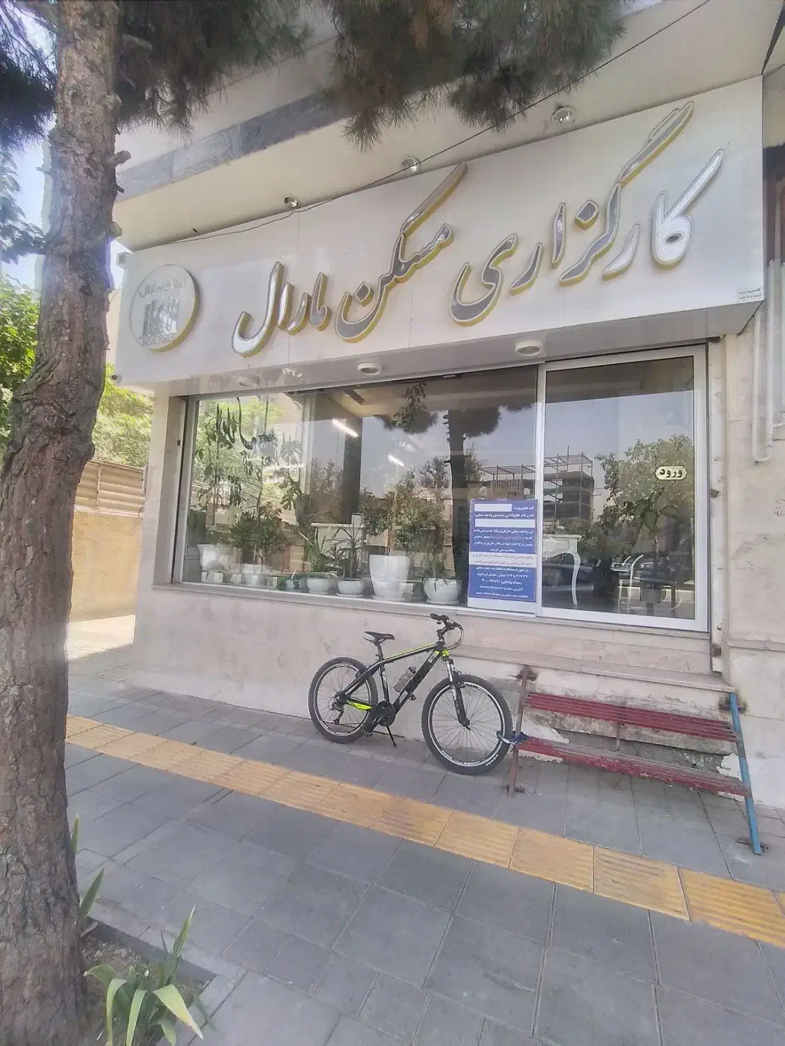 ۱۹۰متری تک واحدی گل طبقات|فروش آپارتمان|مشهد, رضاشهر|دیوار