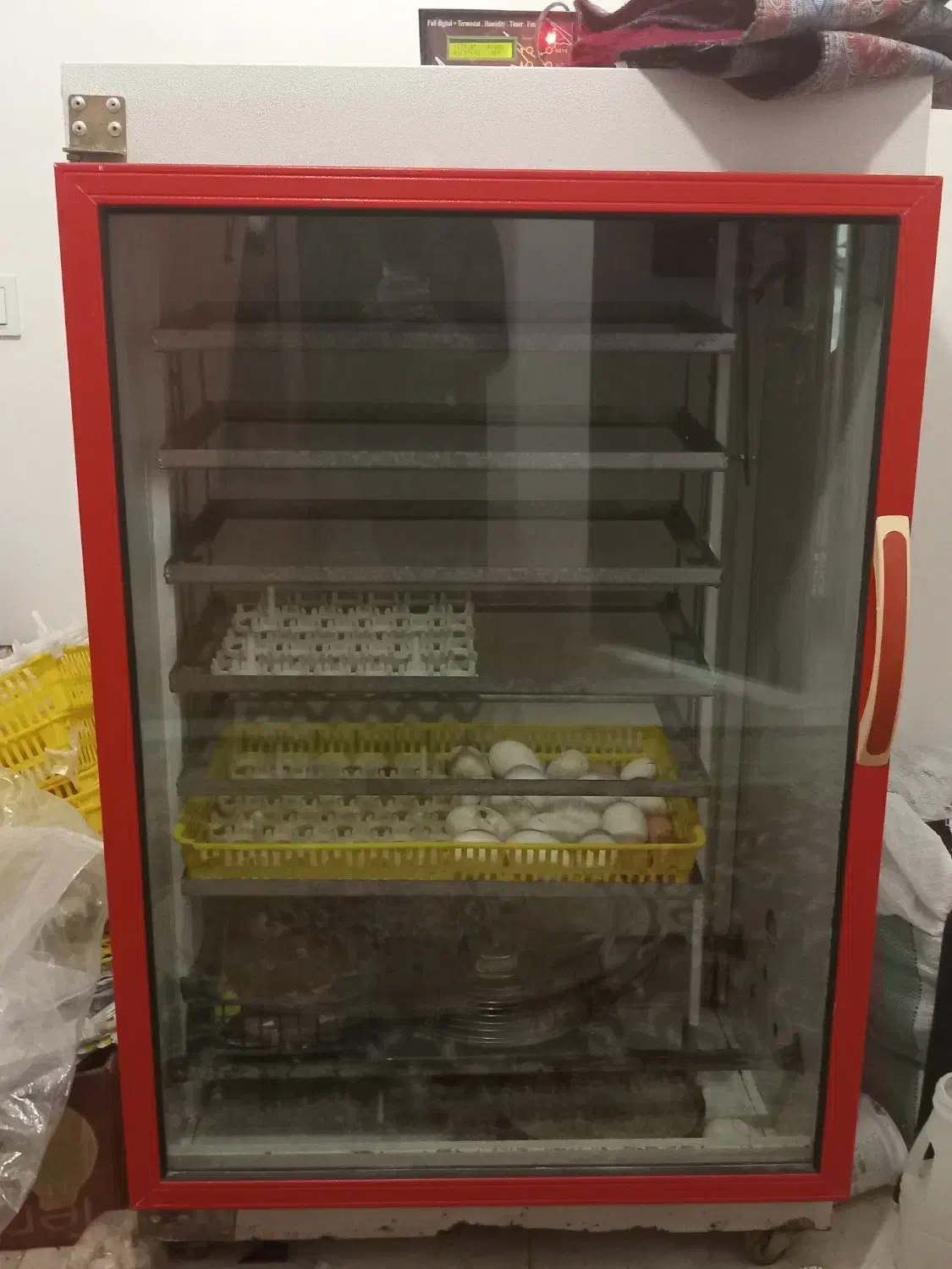 تخم شراکتی دستگاه جوجه کشی|حیوانات مزرعه|سرخنکلاته, |دیوار